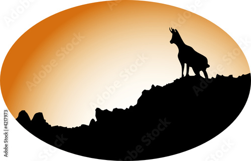 Isard au crépuscule