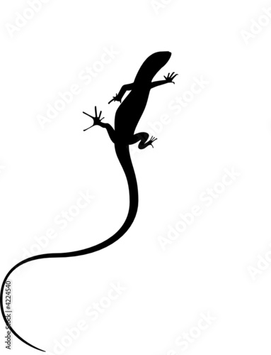 Lizard logo