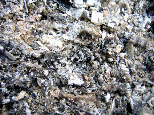 Podobny obraz