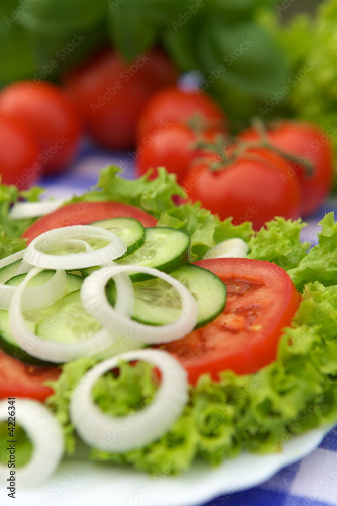 Vegetable Salad
