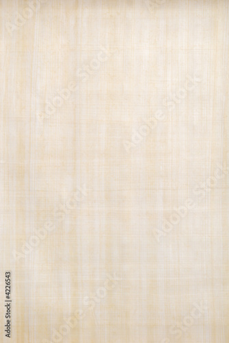 Papyrus paper