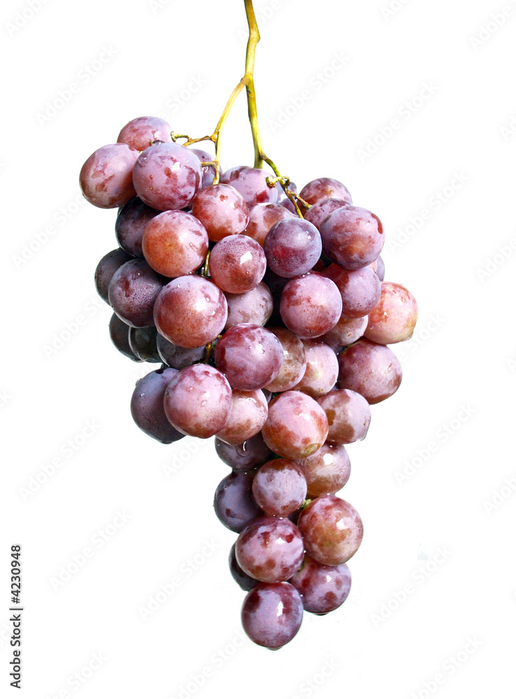 Fototapeta premium grape bunch