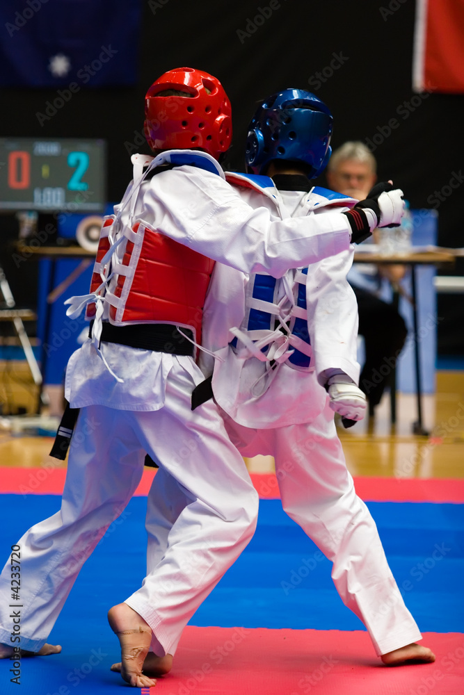 Fototapeta premium Taekwondo