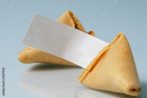 Blank Fortune Cookie