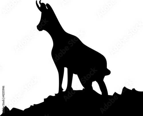 Logo chamois