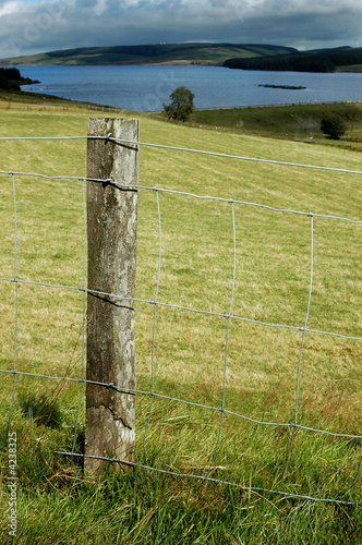 Fence post along a track to the lake