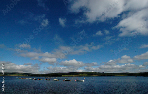 Rowing boats moored in a line 