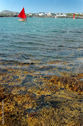 Sailing across the bay