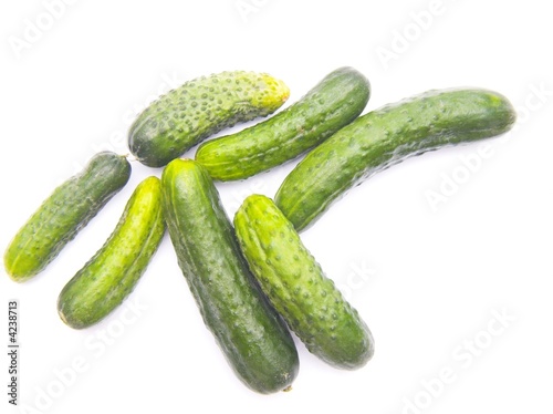 cucumbers - isolated over white