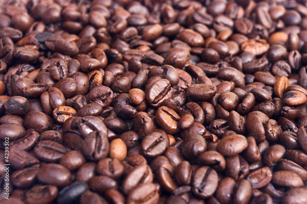 Coffee Beans Coffee Beans
