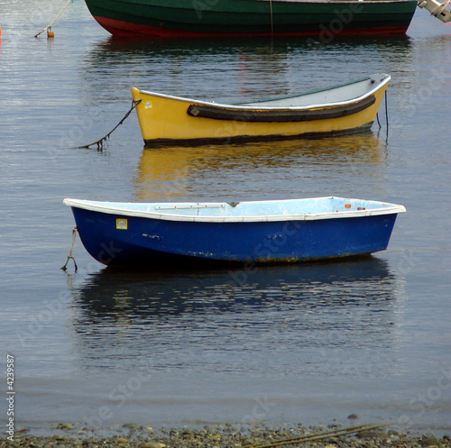 Dinghies in the Harbor