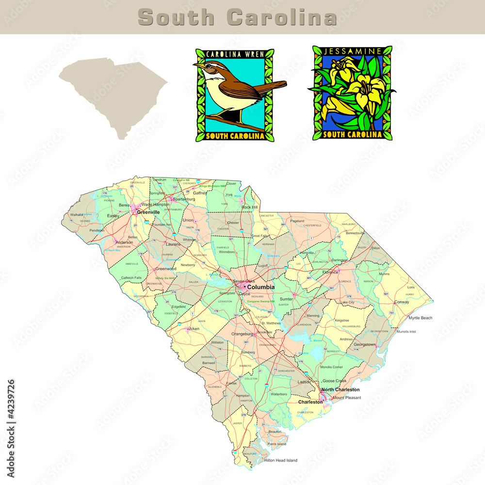 USA states series: South Carolina. Political map with counties 