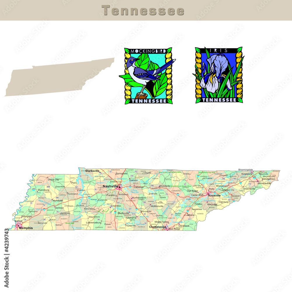 USA states series Tennessee. Political map with counties Stock