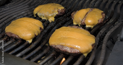 Burgers on the Grill