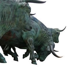 Poster Stierenvechten Imposante stier op het veld  © hcast