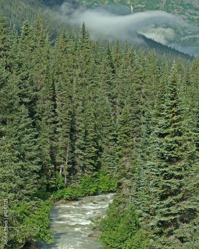 Skagway River