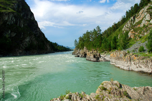 Mountain river Katun, Altai, Russia