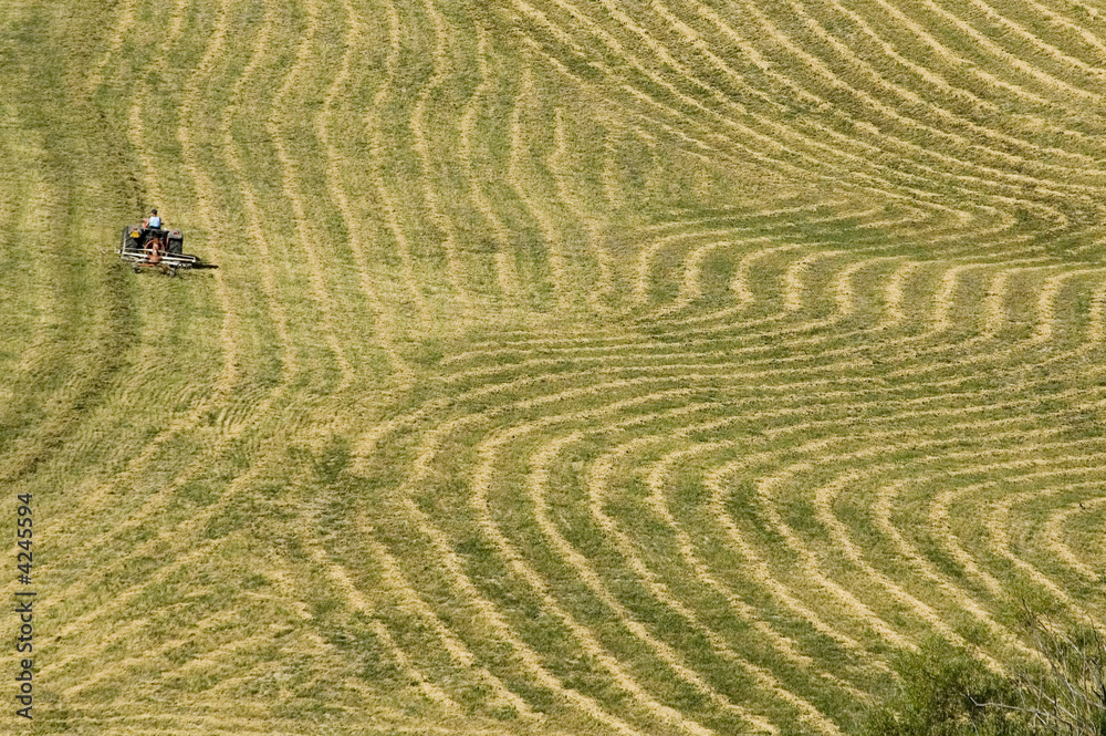 Obraz premium récolte des fourrages