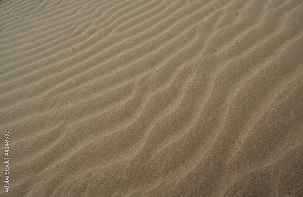 Sand Sand