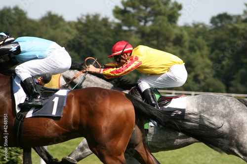 course de chevaux - horse racing