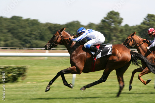 course de chevaux - horse racing