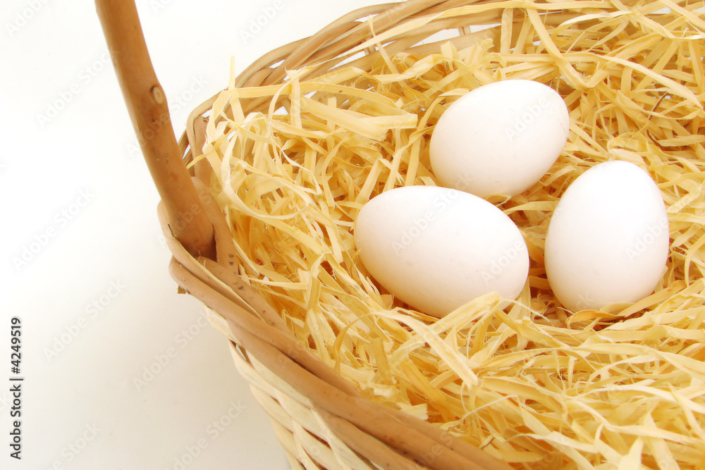 Eggs Eggs