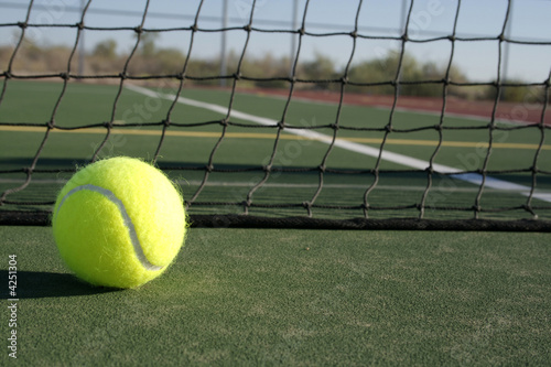 Tennis Ball and Net