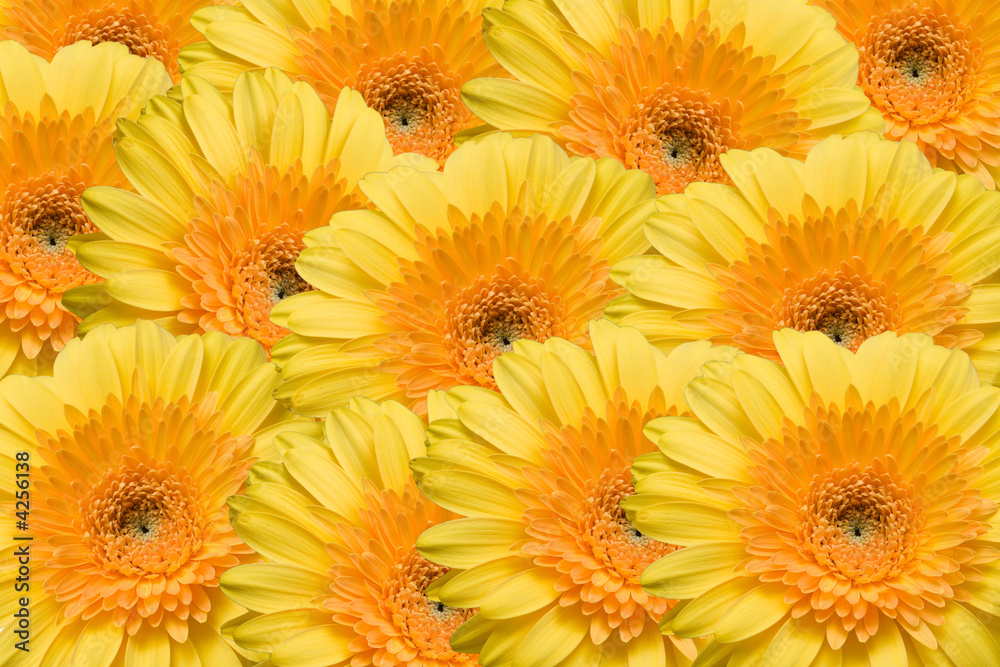 Texture from yellow gerbers