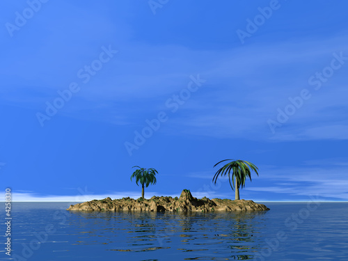 île avec palmiers