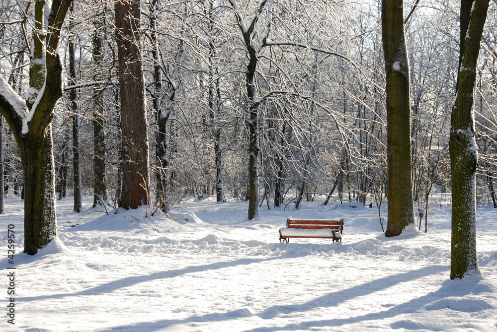 Red bench in a park covered with snow