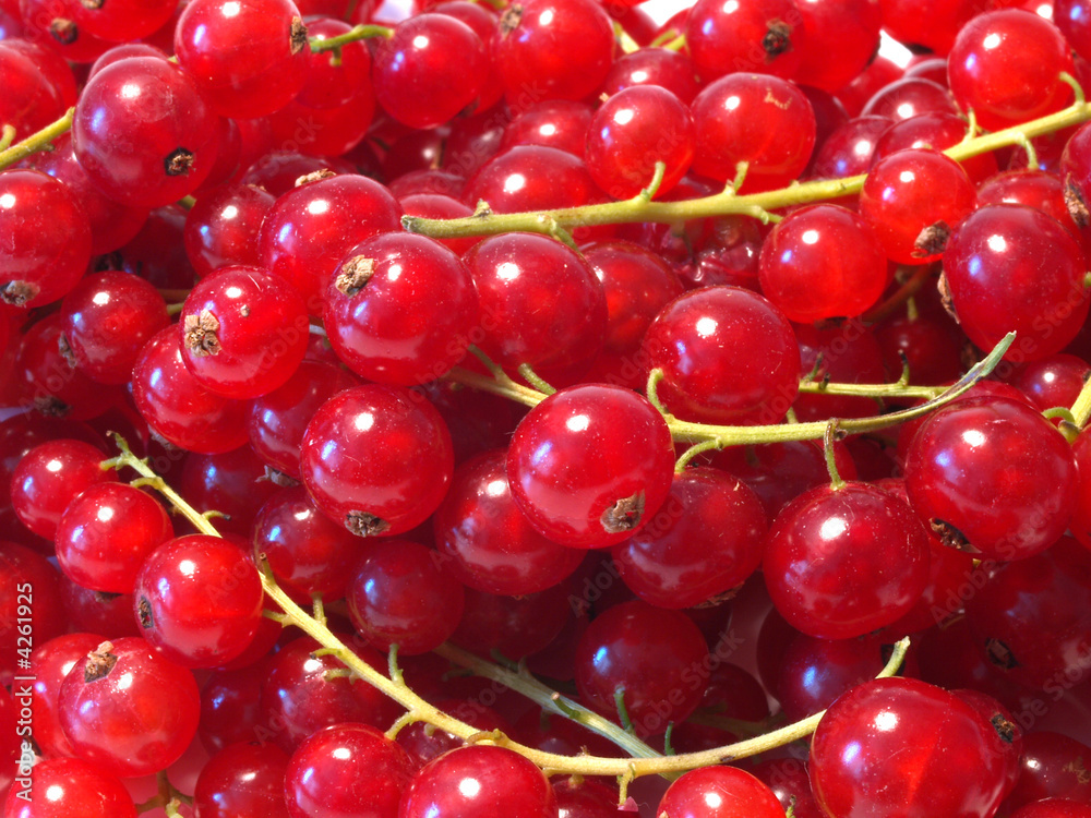 Johannisbeeren Johannisbeeren