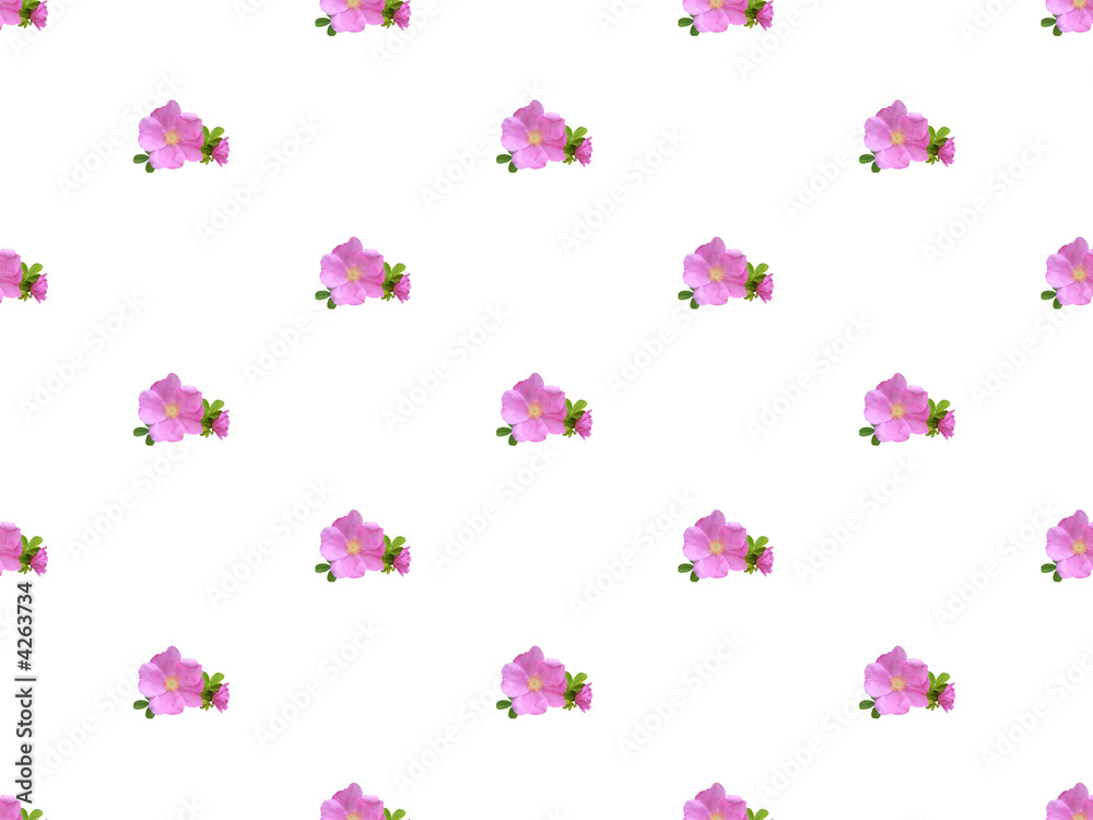 seamless floral background seamless floral background