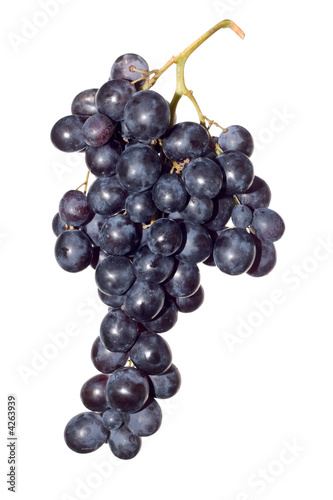 dark grape
