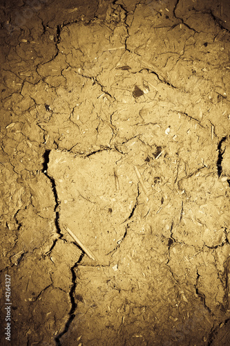 Slika na platnu Cracked loam background