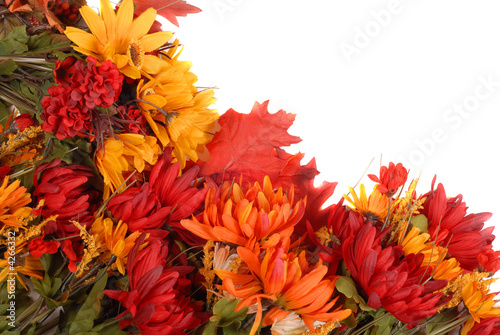 Autumn flowers placed in a pattern to form a border