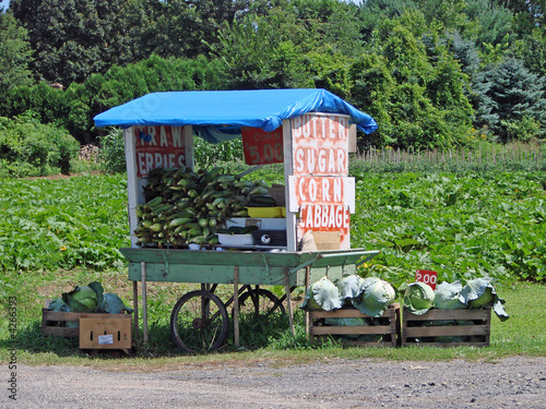 Small Rural Farmstand
