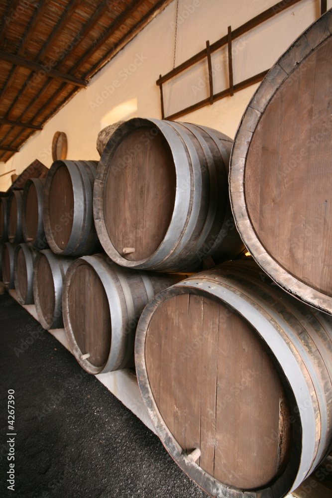 alignment of wine barrels