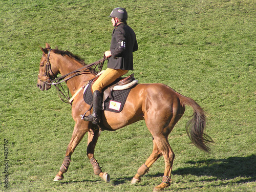 stopping the horse