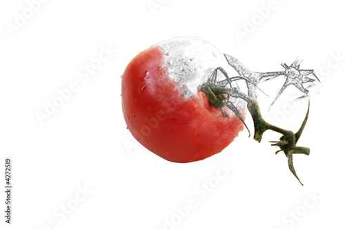 painted tomato