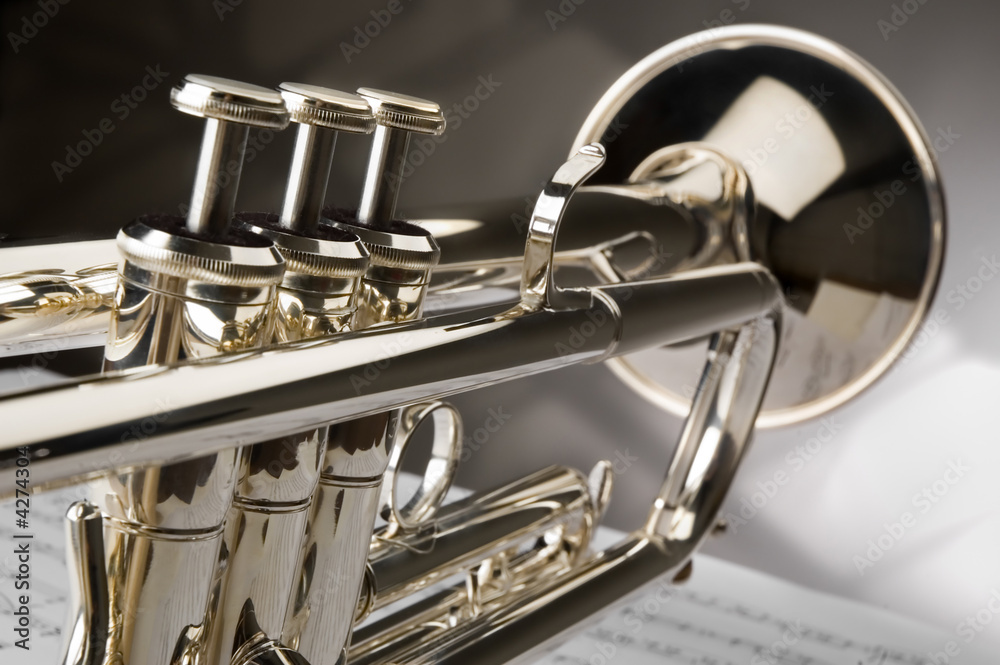 Fototapeta premium trumpet