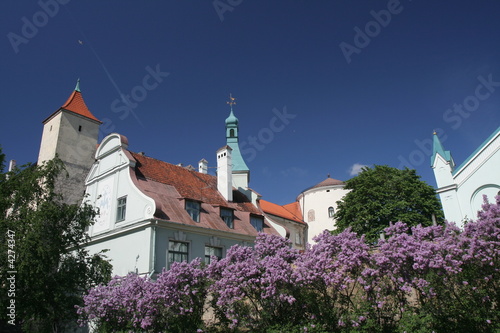 Riga castle