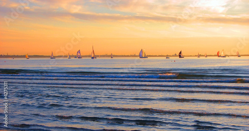 The Gold sky and regatta.