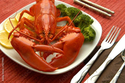 lobster 2/9 photo