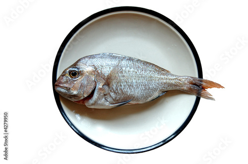 snapper fish in a plate