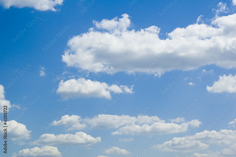 altostratus maculosus altostratus maculosus