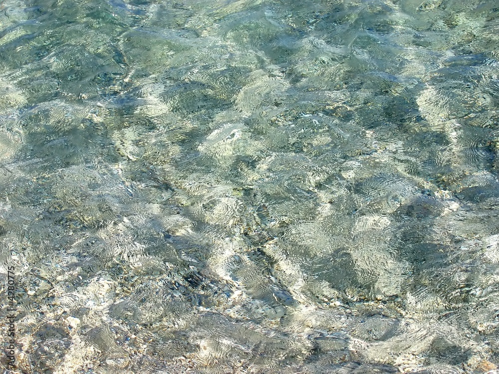 Fototapeta premium Fond de mer