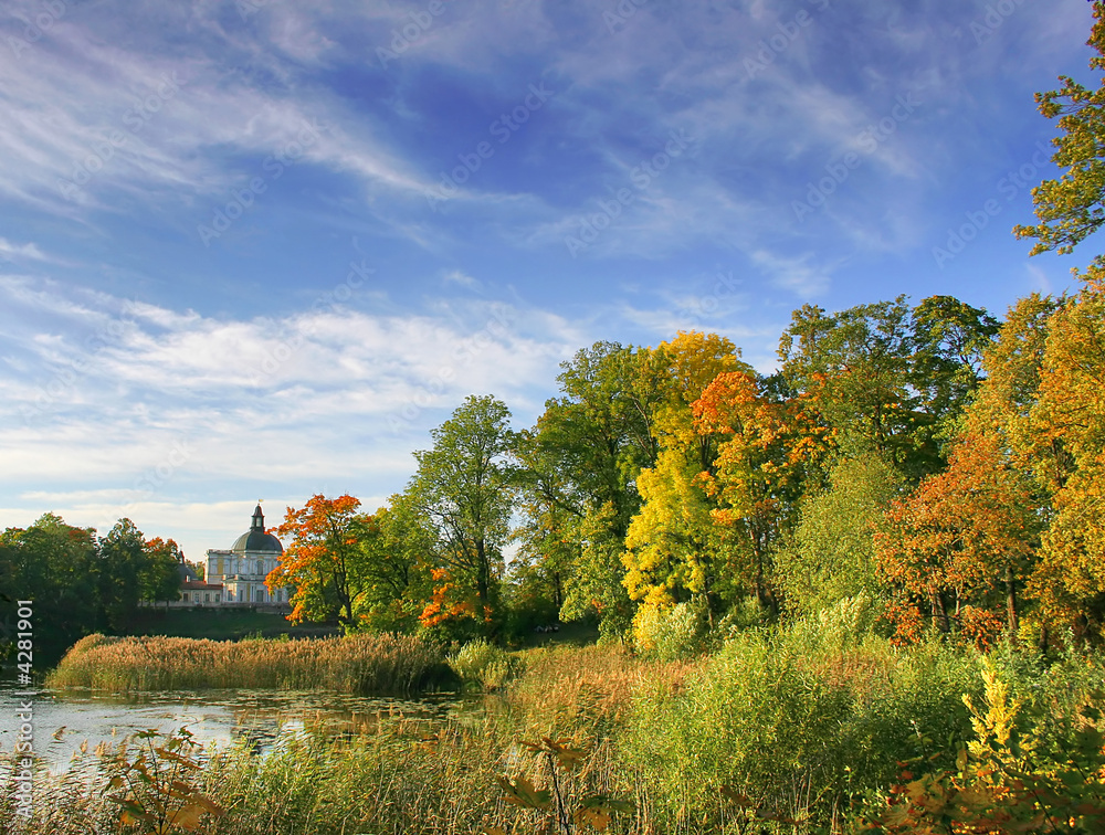 autumn under blue sky