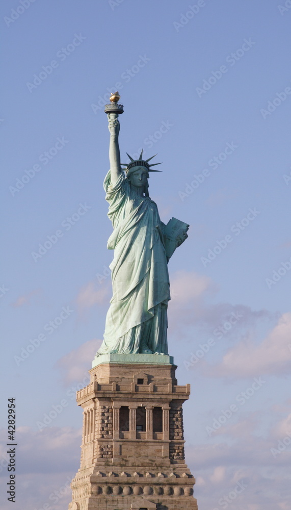 Obraz premium liberty
