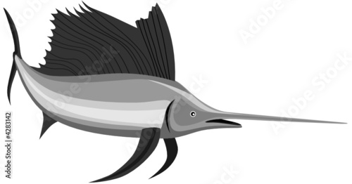 sailfish