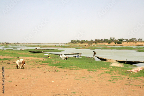 Foto niger,le grand fleuve